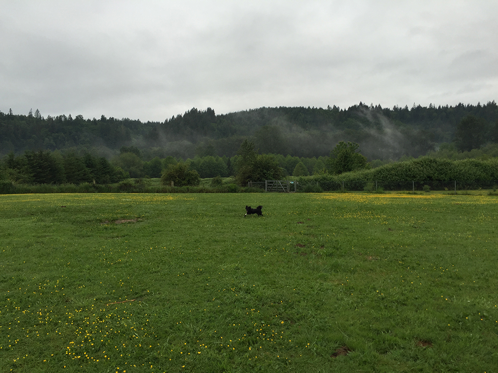 77-may15trailwalk