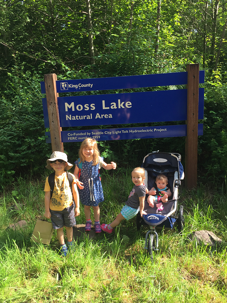 12-jun5mosslakehike