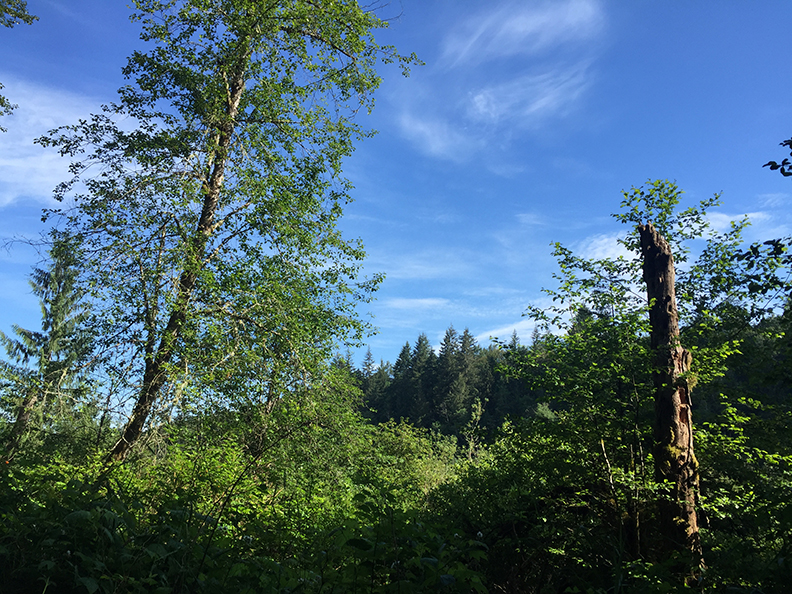 23-jun5mosslakehike