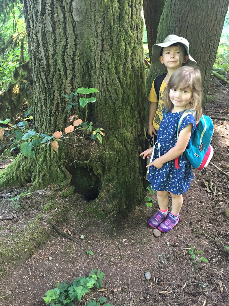 26-jun5mosslakehike