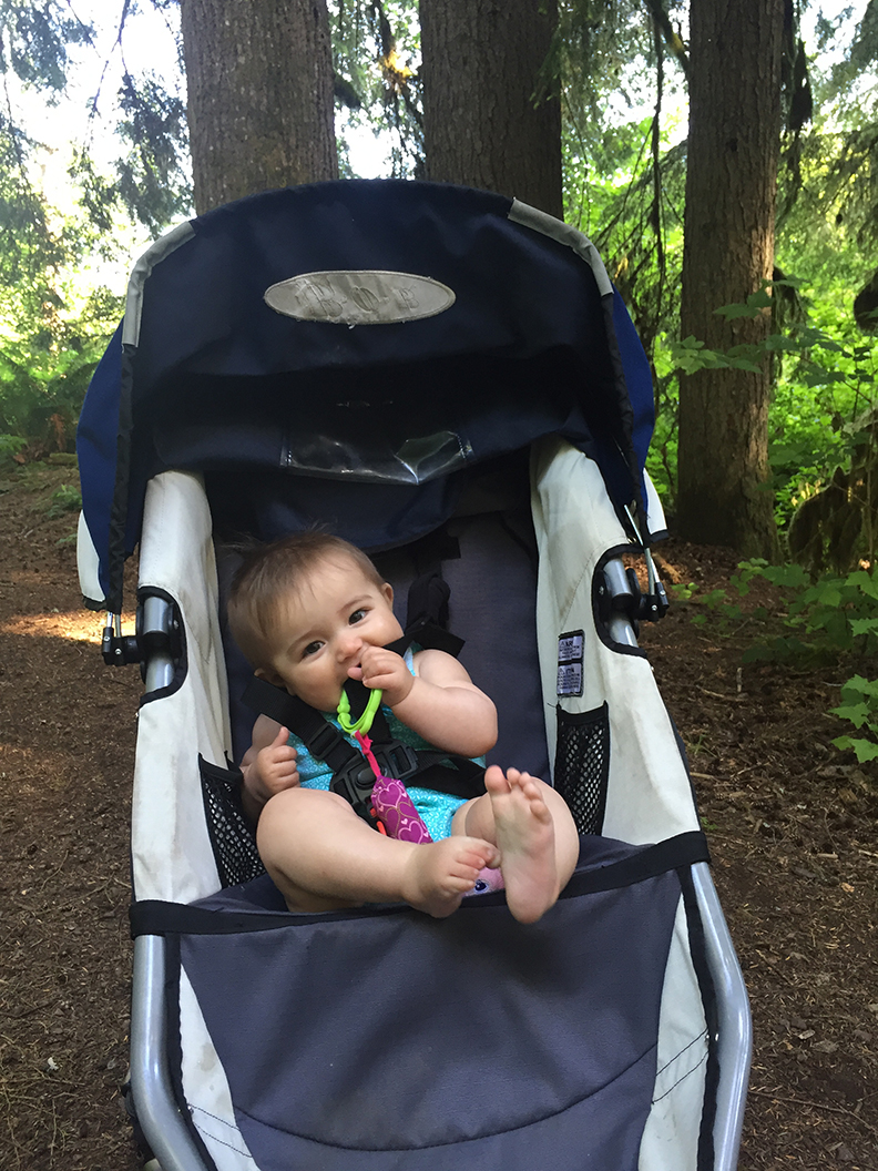 32-jun5mosslakehike