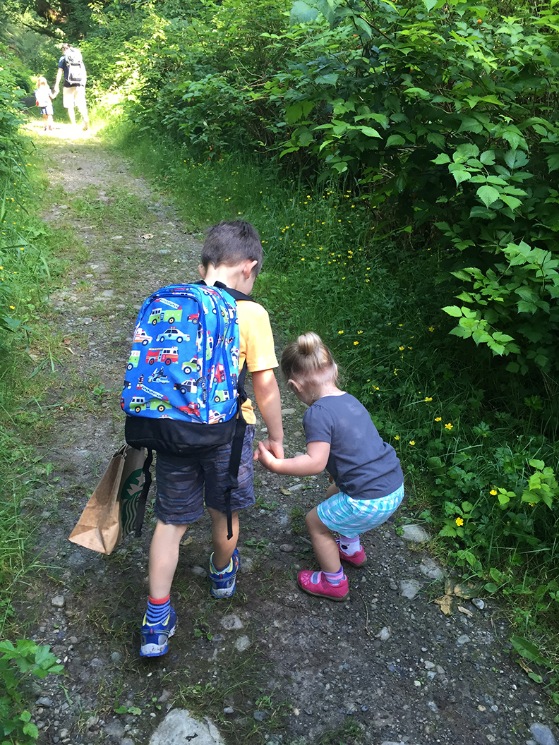 43-jun5mosslakehike