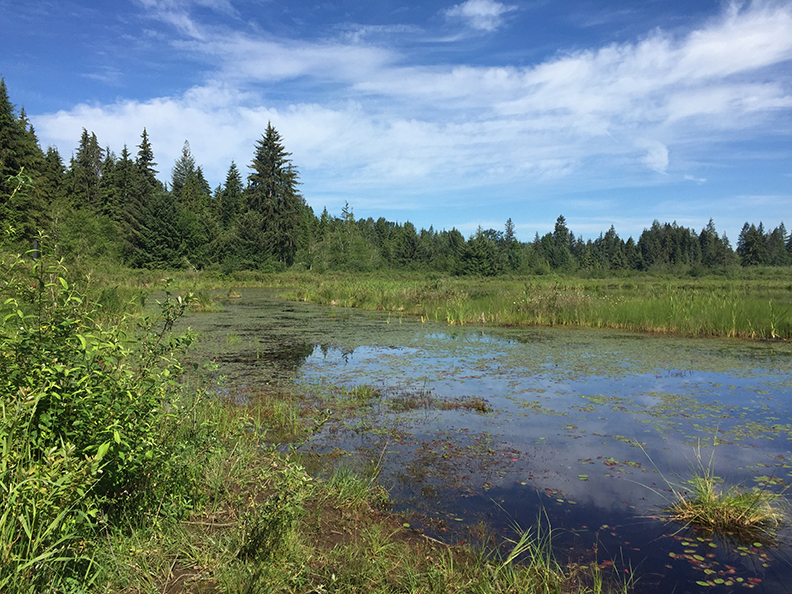 60-jun5mosslakehike