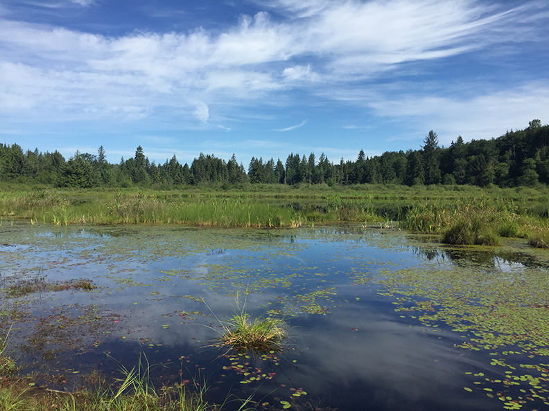 61-jun5mosslakehike