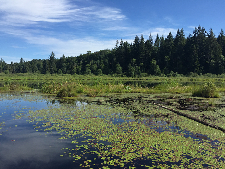 62-jun5mosslakehike