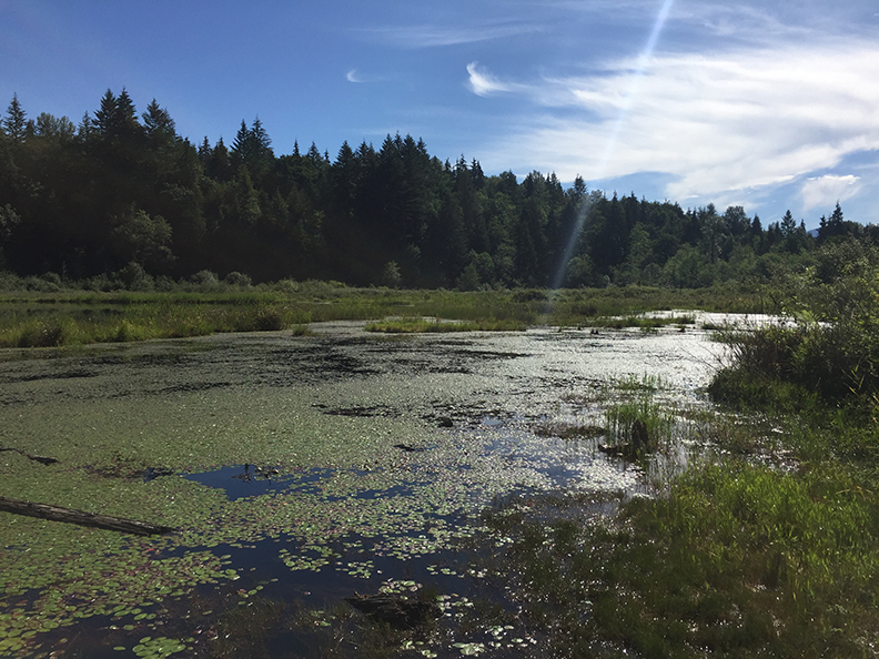 63-jun5mosslakehike