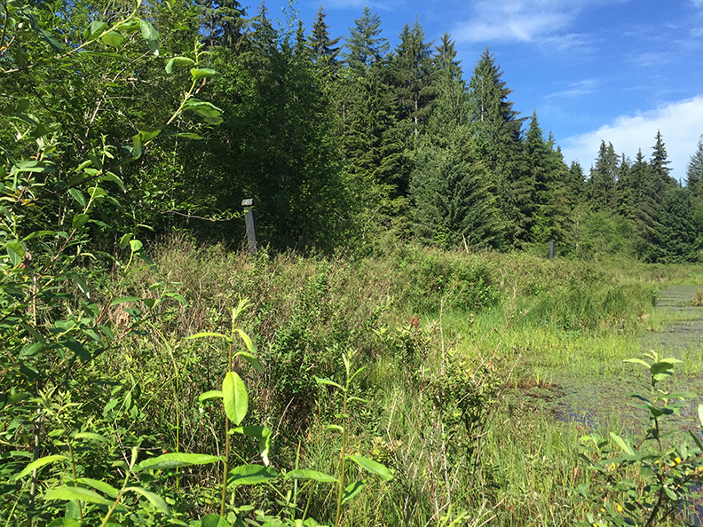 66-jun5mosslakehike