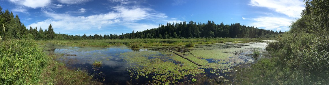 70-jun5mosslakehike