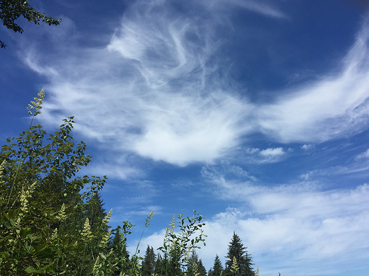 72-jun5mosslakehike