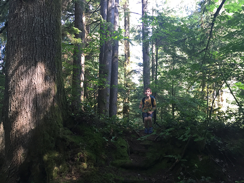 82-jun5mosslakehike