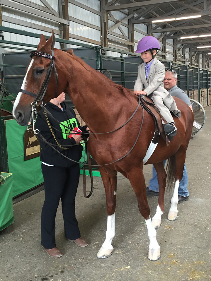 27-c-fairhorseshow
