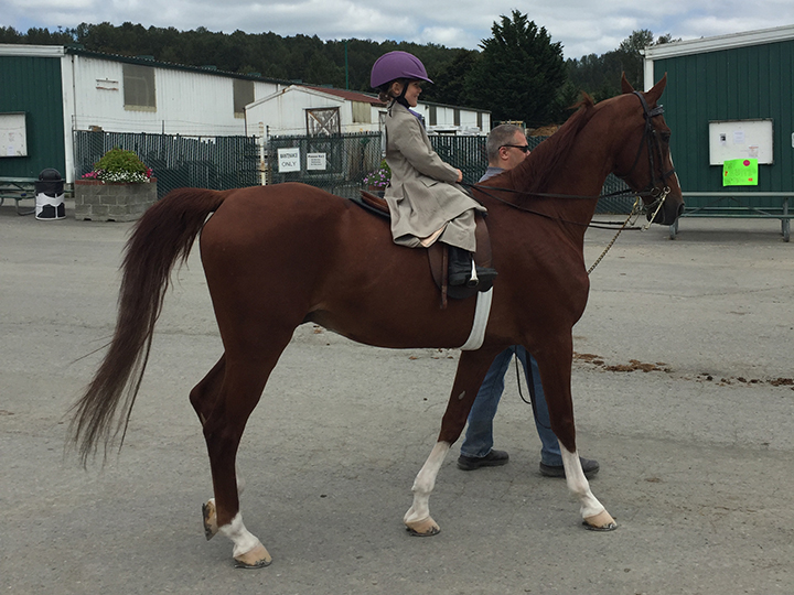 32-c-fairhorseshow