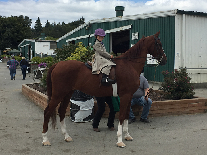 34-c-fairhorseshow