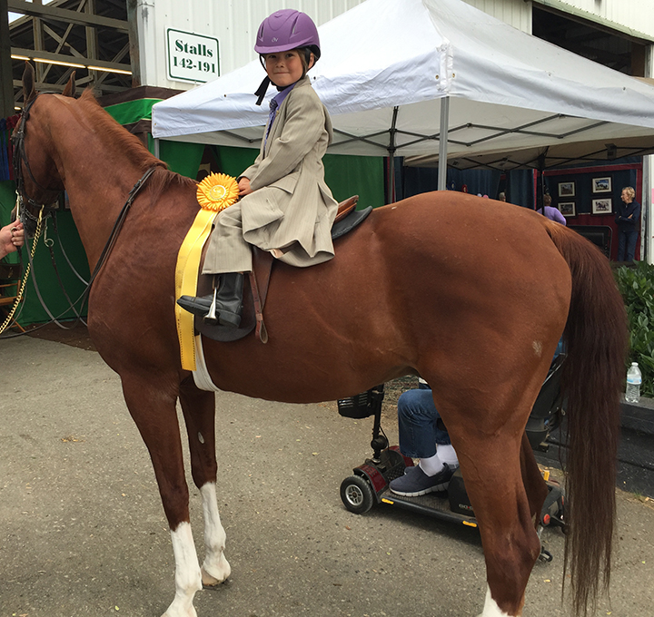 40-c-fairhorseshow