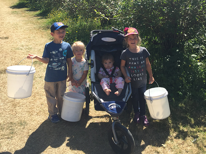 01-aug2016blueberrypicking