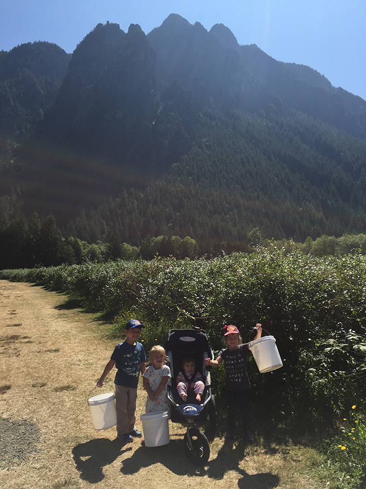 10-aug2016blueberrypicking