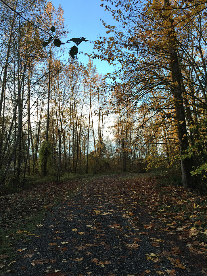 oct2016-460